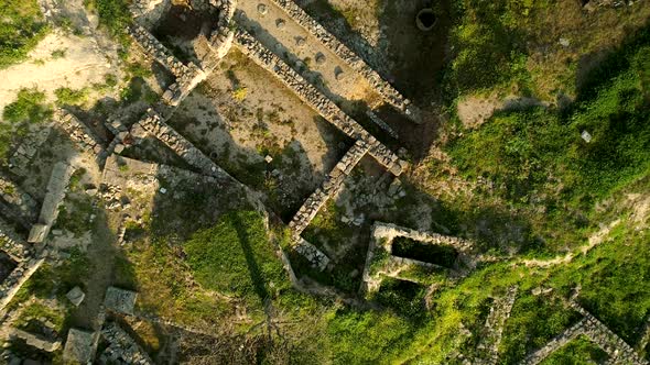 Birdseye To The Troy alt