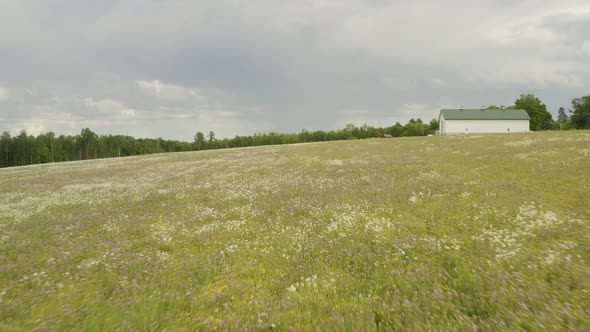 Flying over wildflowers in meadow, Increasing aerial flight alt