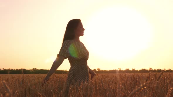 A Girl Walks Through a Field of Ripe Wheat at Sunset alt