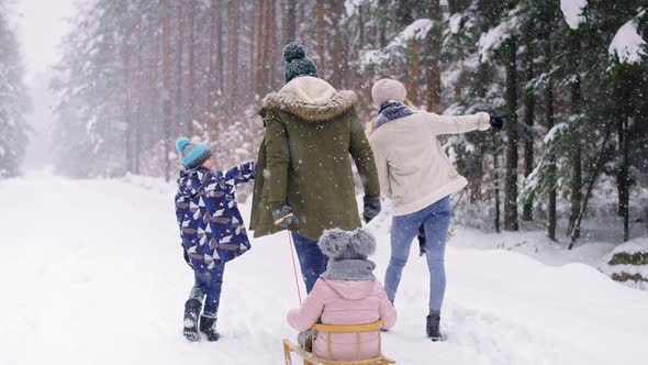 Rear view of family walking in winter forest. Shot with RED helium camera in 8K. alt