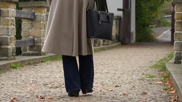 An Elderly Woman Walks Across a Bridge in a Park alt