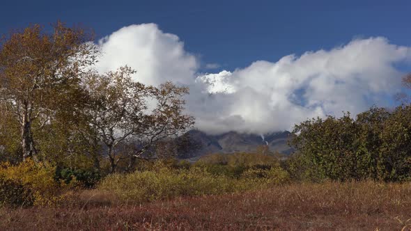 Picturesque Volcanic Mount Landscape, View of Cone Volcano, Yellow-Orange Forest