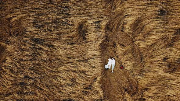 A Couple in Love Lies in a Field of Spikelets Aerial View alt