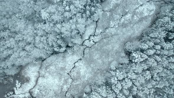 Aerial View Of Winter Forest Nature From Above