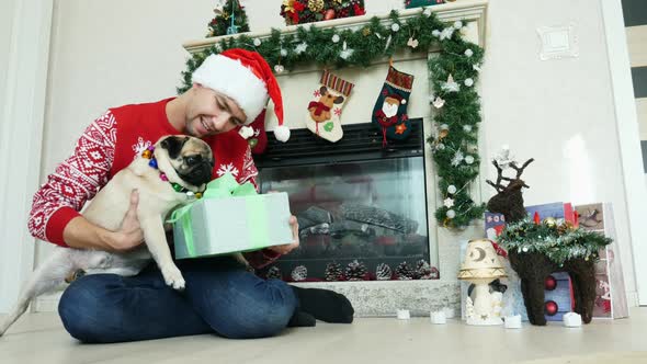Man Hug and Stroking Funny Pug Dog in Christmas Costume, Gifts and Decor in the Background