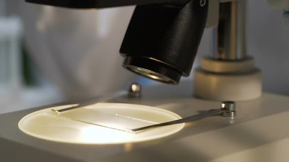 Lab Assistant Removing Slide From Microscope Stage, Finishing Studying Material alt
