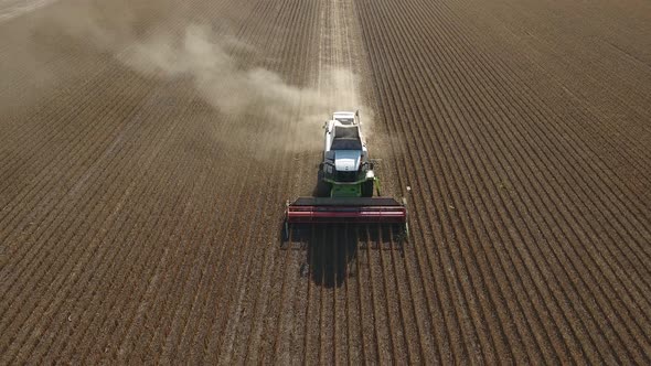 Harvester In Soy Bean Field alt