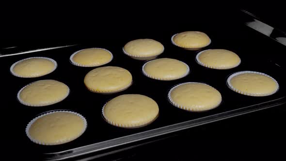 Cinemagraph  Twelve Cupcakes Muffins Baking and Rising in Oven  Timelapse