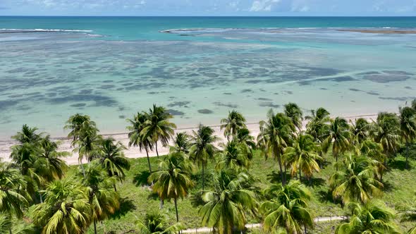 Patacho beach at Sao Miguel dos Milagres Alagoas Brazil. alt