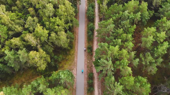 AERIAL: Two Cyclists Drives Very Fast Through the Green Pine Forest alt