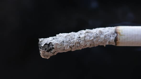 cigarette detail macro smoke in cigar alt