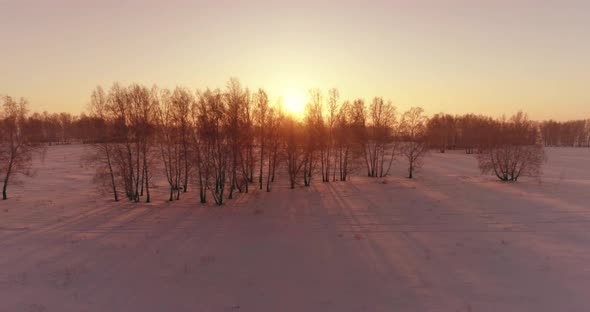 Aerial Drone View of Cold Winter Landscape with Arctic Field, Trees Covered with Frost Snow and alt