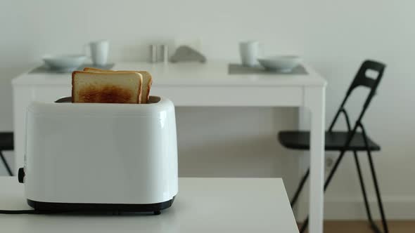 Fried toast jump out from a toaster in a kitchen