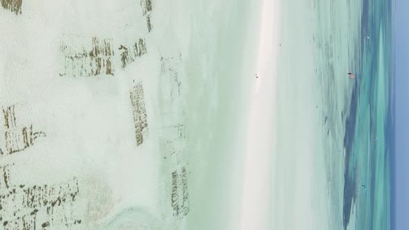Zanzibar Tanzania  Vertical Video of Low Tide in the Ocean Near the Coast Slow Motion alt