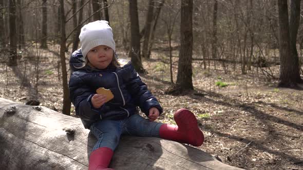 a Little Girl Is Sitting on a Log in the Forest