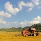 Combine Mowing Grains At Picturesque Place - VideoHive Item for Sale
