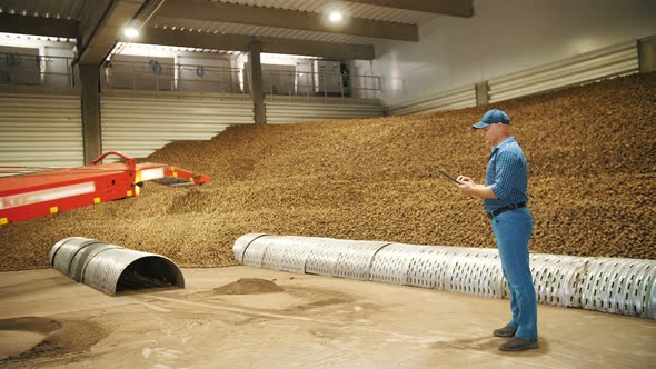 Potato Harvesting alt