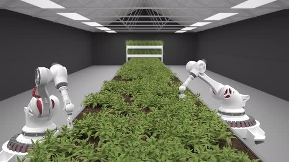 Automated planting process using advanced robot for planting leaves