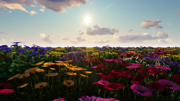 Flowers Landscape alt