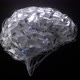 Brain And Blue Neurons Looped - VideoHive Item for Sale
