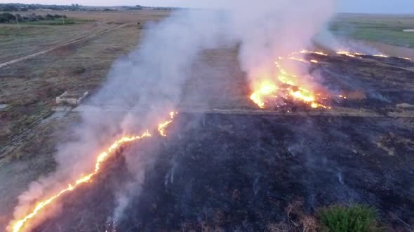Fire on the Field from Bird's Eye View