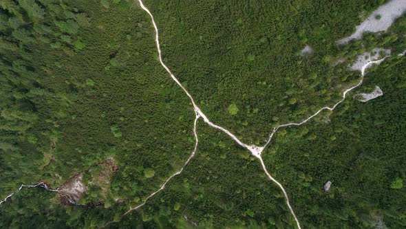 Aerial Drone view of trees from the top on a forest on the Italian Dolomites Alps in Santa Magdalena alt