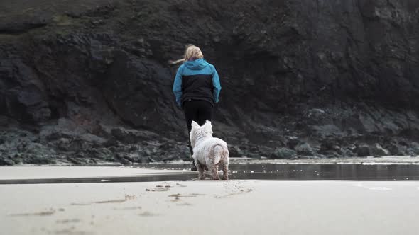 A White Terrier Dog Following Its Owner While Enjoying The Morning Coastal Walk - Medium Shot alt