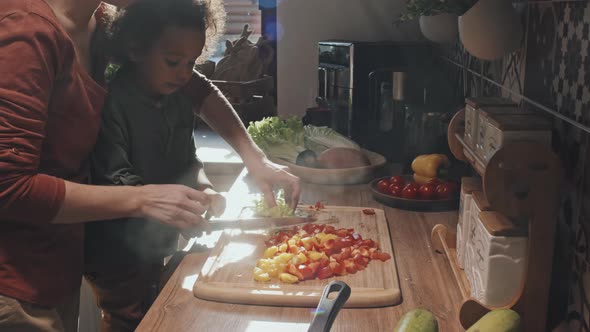 Mom and Son Cooking alt