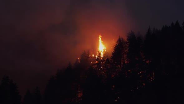 Forest Fire Near Portland Oregon alt