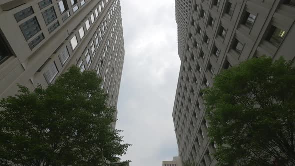 High rise buildings on a street