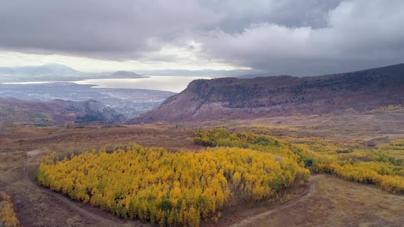 Flying over colorful aspen grove on mountainside viewing Utah Lake alt