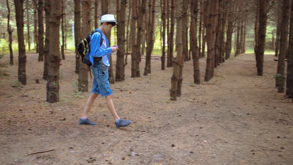 Traveler Boy Walks in the Forest and Uses the Phone Cinematic Shot alt