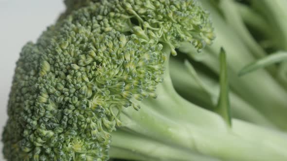 Details of Brassica oleracea broccoli floret 4K tilting  footage alt
