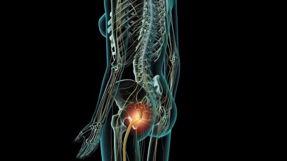 Problems in the body are transmitted to the brain alt