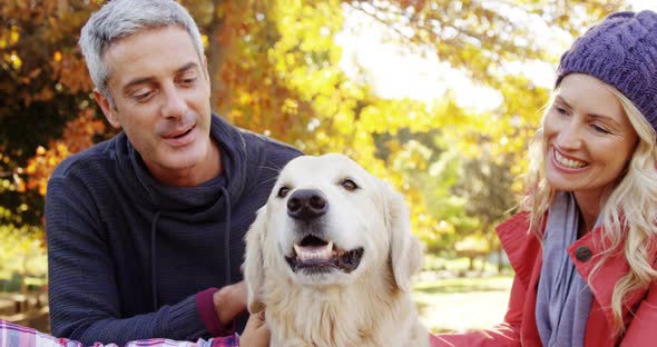 family with dog outdoors alt