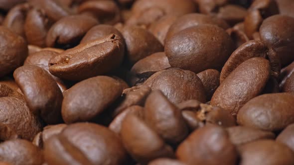 Coffee Bean (4K) alt
