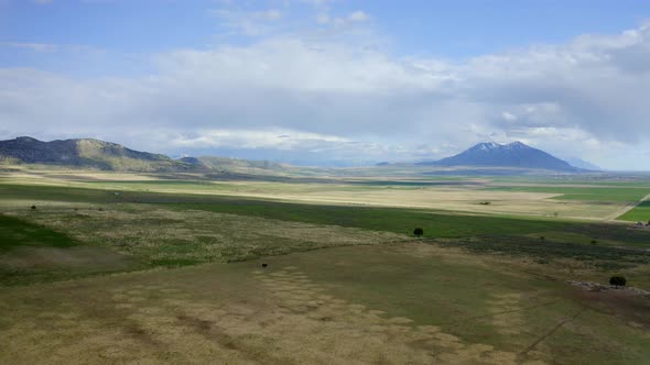 Rocky Mountain Plains