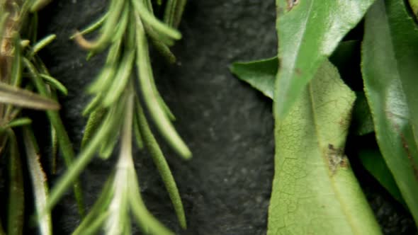 Rosemary, curry leaf and garlic chives on black background 4k alt
