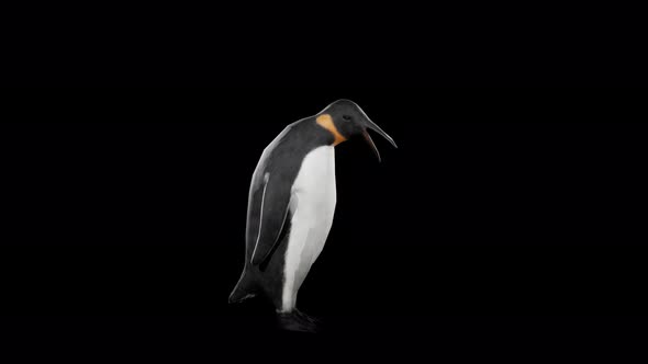 Penguin IDLE 4k alpha loop