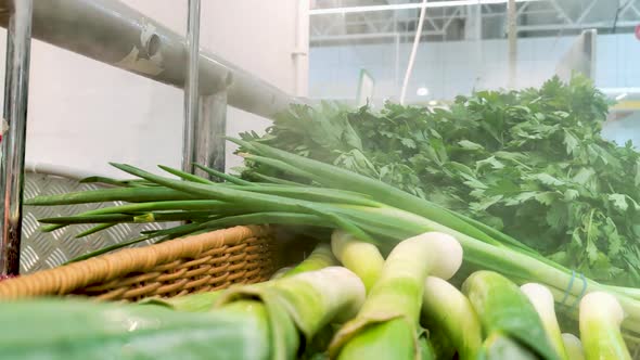 Vegetarian Fresh Herbs in Fridge