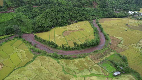 Aerial view of paddy field or rice terrace and the river in valley, Nan, Thailand by drone