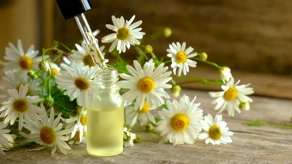 Extract and Tincture of Chamomile in a Small Bottle alt