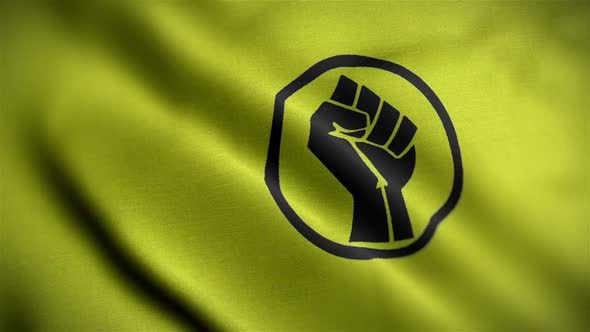 Blm Power Fist Flag Angle