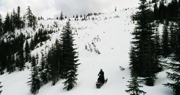 Snowmobiling Up Snowy Hill alt