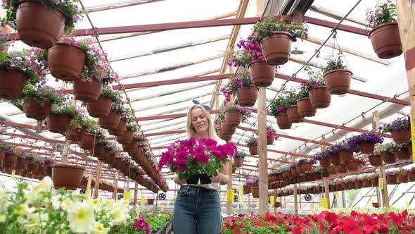 happy florist holds a box of blooming bright flowers in the greenhouse. alt