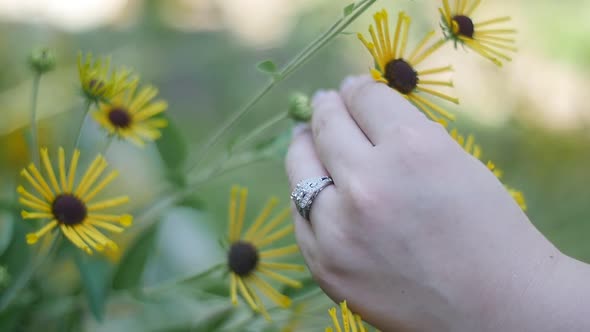 Hand with engagement ring holding a quilled brown-eyed susan flower alt