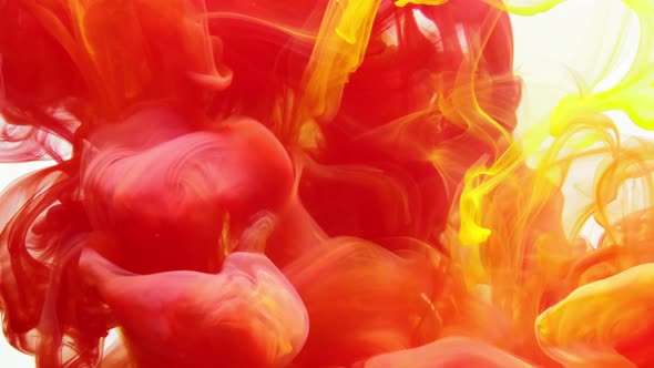 Red and Yellow Watercolor Ink in Water on a White Background. alt