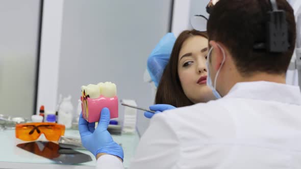 Young Woman Visits Dentist and Listens Consultation and Looking at Tooth Model