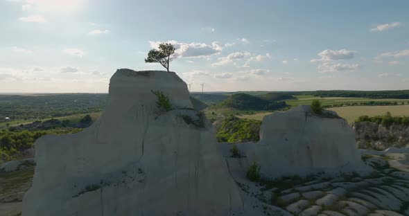 aerial shot of a tree on cliff with dissapearing and appearing wind turbines on horizon alt