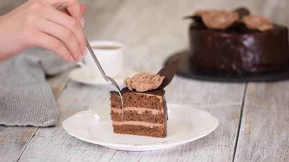 Piece of Delicious Homemade Chocolate Prague Cake